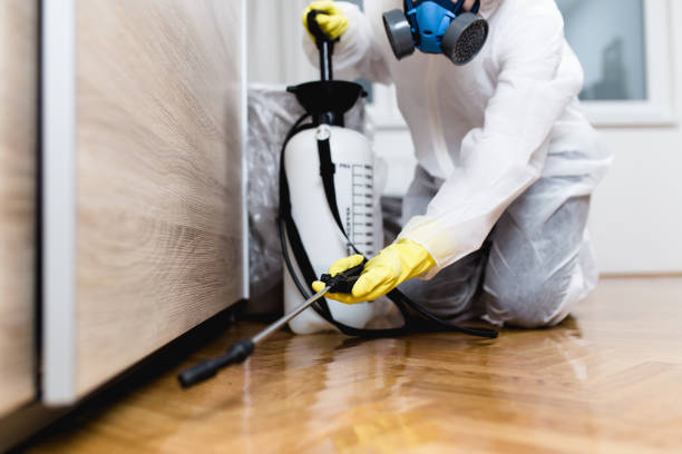 Best Affordable Pest Control Services  in Sunman, IN