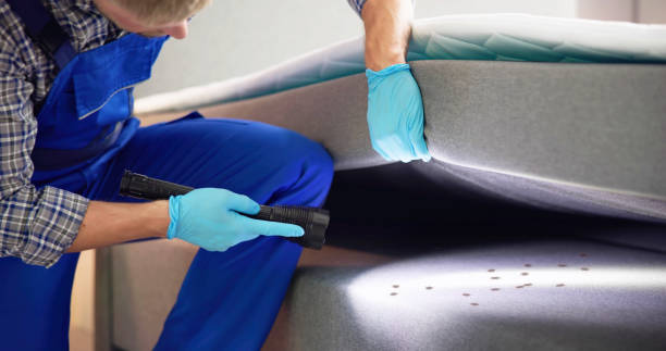 Wasp Removal Services in Sunman, IN