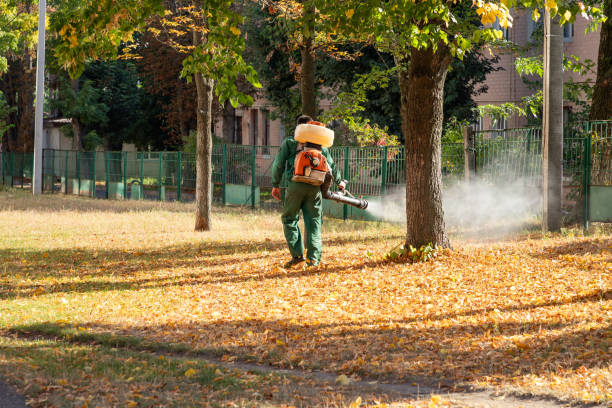Best Exterminator Services  in Sunman, IN