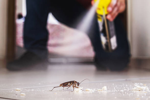 Best Commercial Pest Control Services  in Sunman, IN