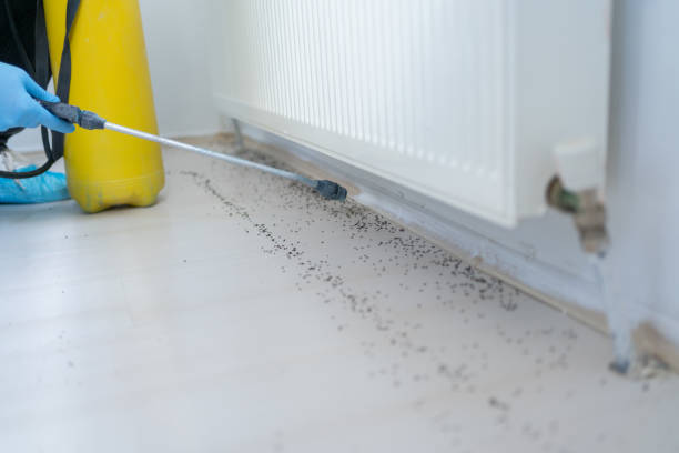 Pest Control for Restaurants in Sunman, IN